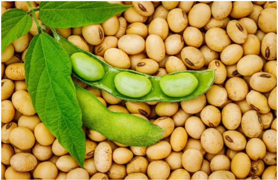 Vista aérea da nossa planta industrial de soja